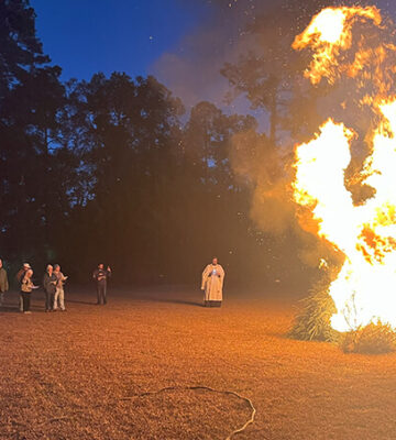 Bonfire (1)